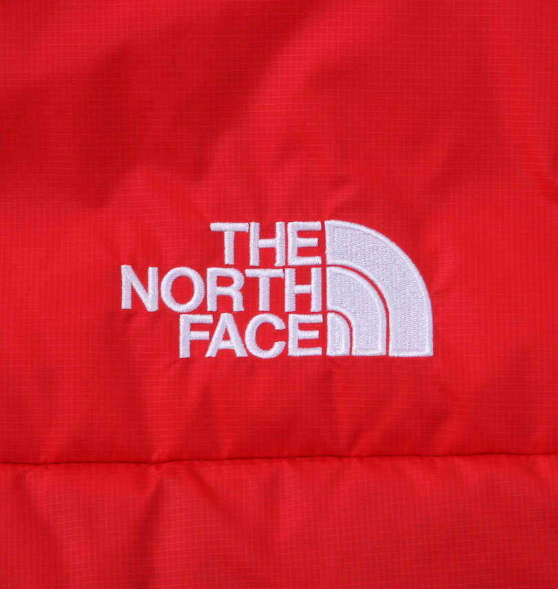 大きいサイズ メンズ THE NORTH FACE (ザ・ノース・フェイス) ダウンベスト 刺繍