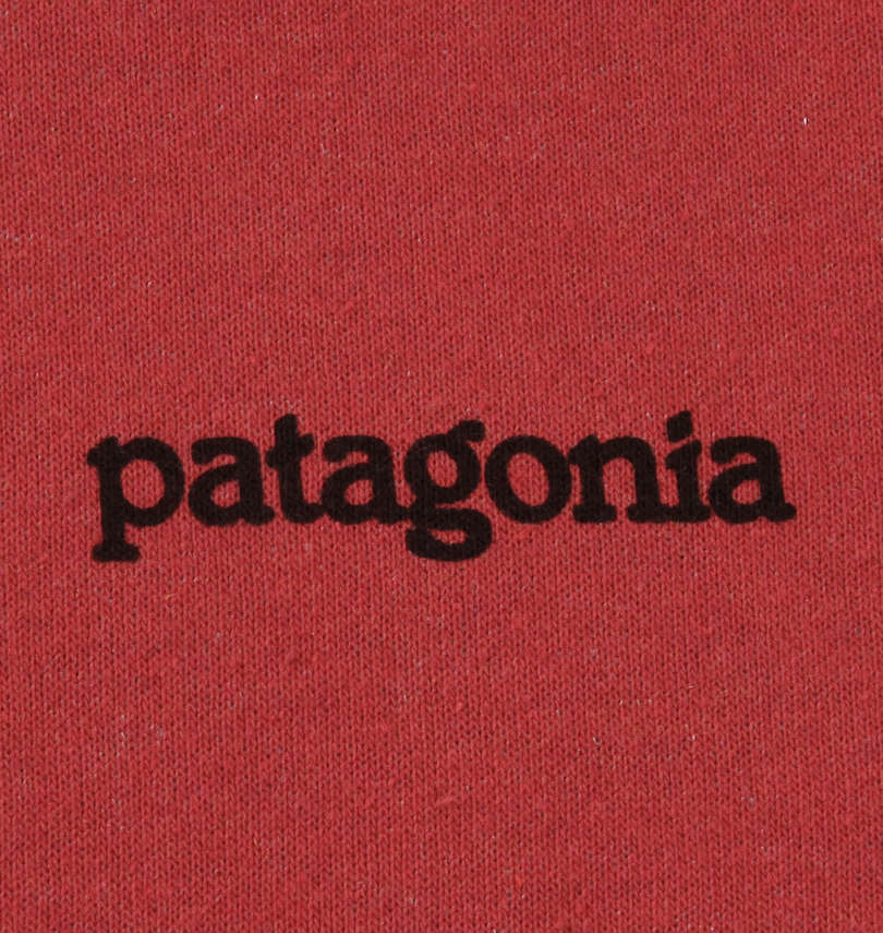 大きいサイズ メンズ PATAGONIA (パタゴニア) プルパーカー フロントプリント