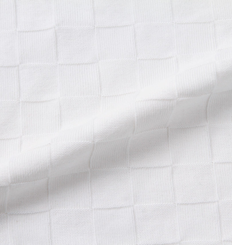 大きいサイズ メンズ GLADIATE (グラディエイト) 刺繍ブロックジャガード半袖ポロシャツ 生地拡大