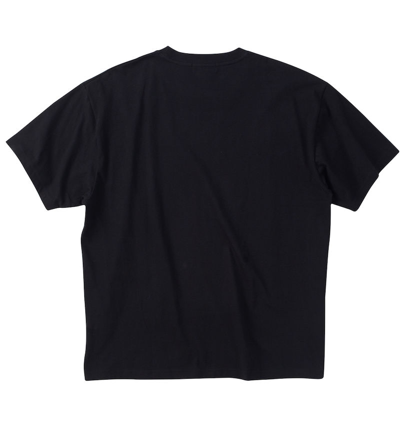 大きいサイズ メンズ RIMASTER VISION (リマスター ビジョン) 天竺トリックアート半袖Tシャツ バックスタイル