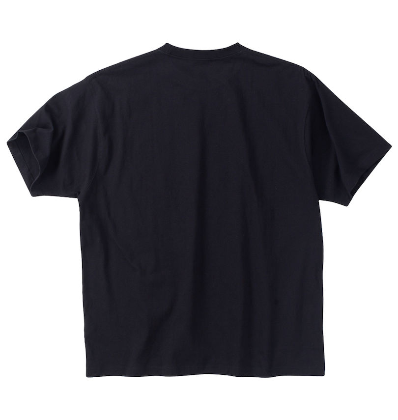 大きいサイズ メンズ THRASHER (スラッシャー) veins comp半袖Tシャツ バックスタイル