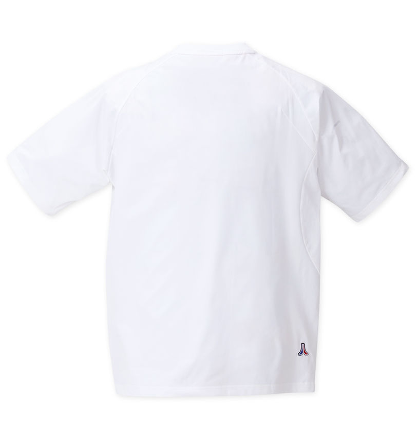 大きいサイズ メンズ LE COQ SPORTIF (ルコックスポルティフ) ヘランカサンスクリーン半袖Tシャツ バックスタイル