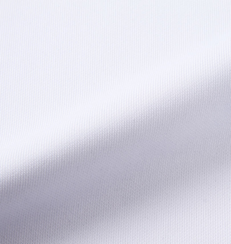 大きいサイズ メンズ FUNKY PANDA by in the attic (ファンキーパンダインジアティック) イタズラカレッジロゴ半袖Tシャツ 生地拡大
