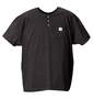 CARHARTT ヘンリーTシャツ半袖