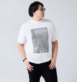 大きいサイズ メンズ RIMASTER VISION (リマスター ビジョン) 天竺トリックアート半袖Tシャツ