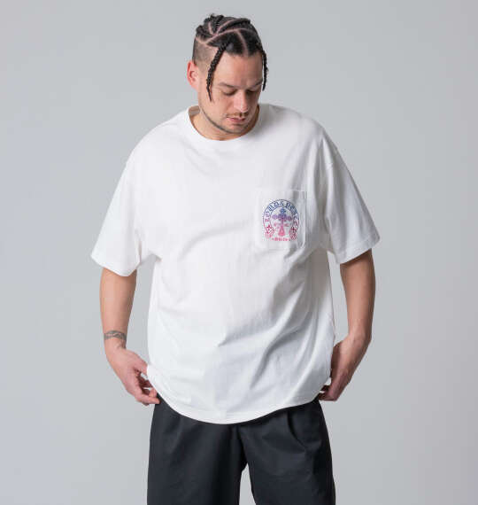 SHELTY 天竺グラデーションプリントポケット付半袖Tシャツを使った3Lサイズのコーディネート