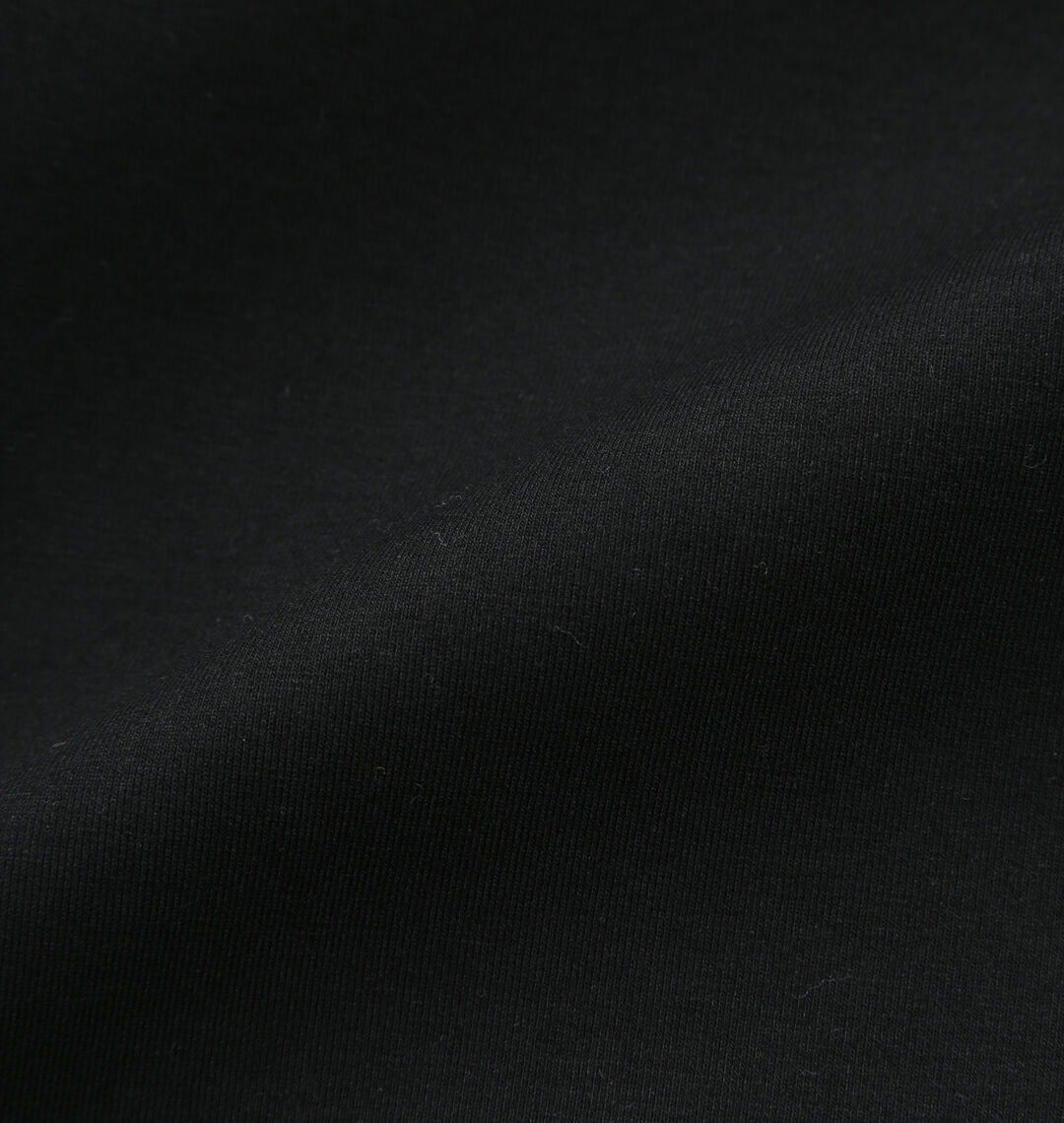 大きいサイズ メンズ Champion (チャンピオン) TECH WEAVE®3LSジップフーデッドスウェットシャツ 生地拡大