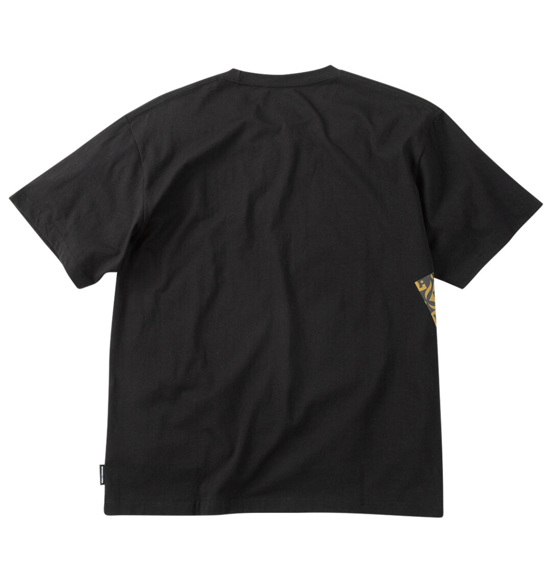 大きいサイズ メンズ DCSHOES (ディーシーシューズ) 26BIG STAR半袖Tシャツ バックスタイル