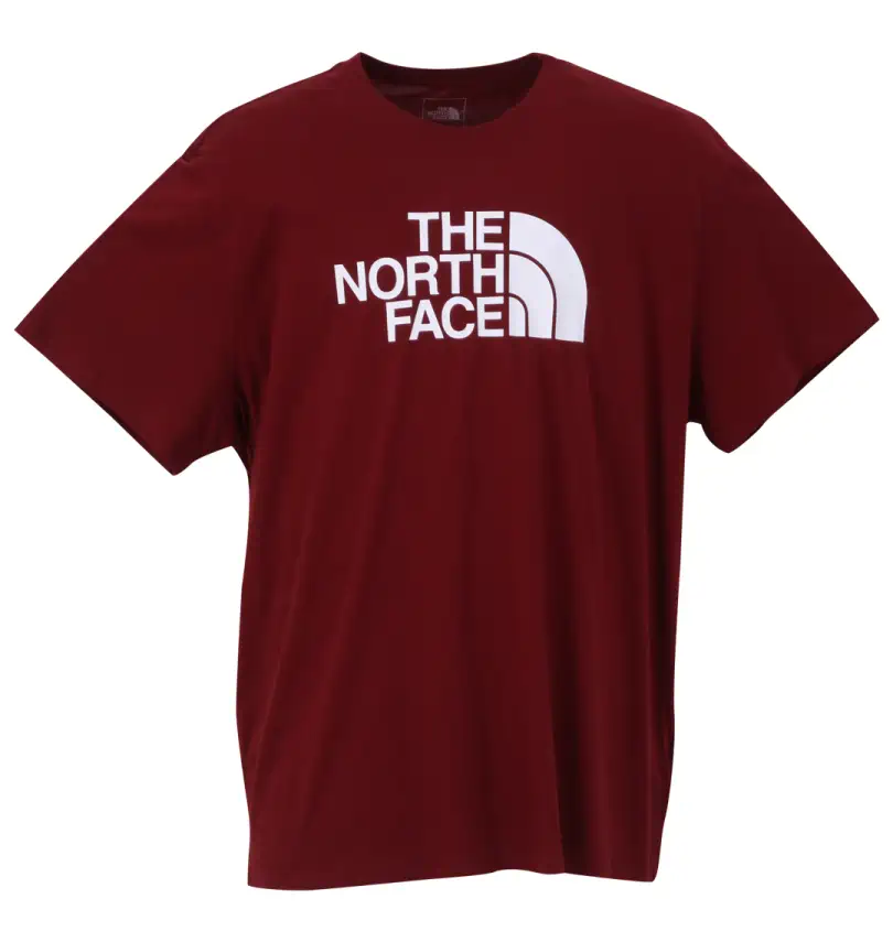the north face バックミンスター・フラー プリント Tシャツ