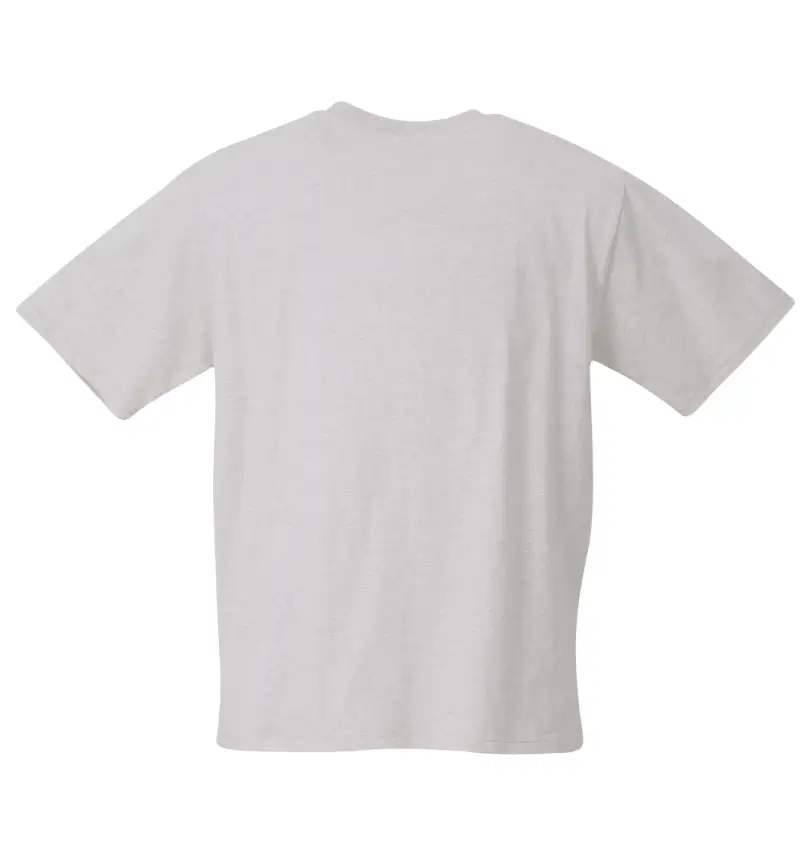 大きいサイズ サガラ刺繍半袖Tシャツ | CONVERSE (コンバース
