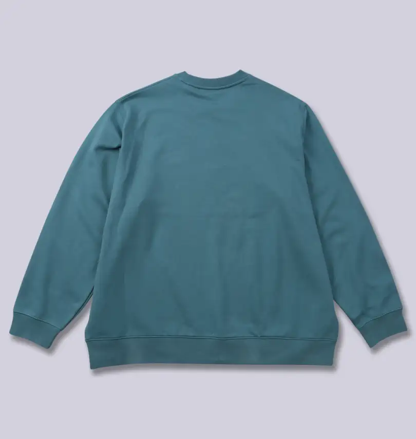 大きいサイズ クルートレーナー | LACOSTE (ラコステ) | 大きいサイズ 