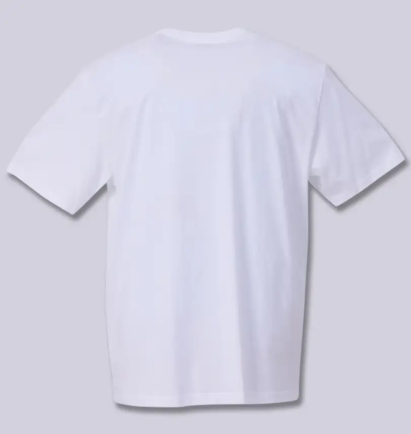 大きいサイズ 半袖Tシャツ | PSYCHO BUNNY (サイコバニー) | 大きい