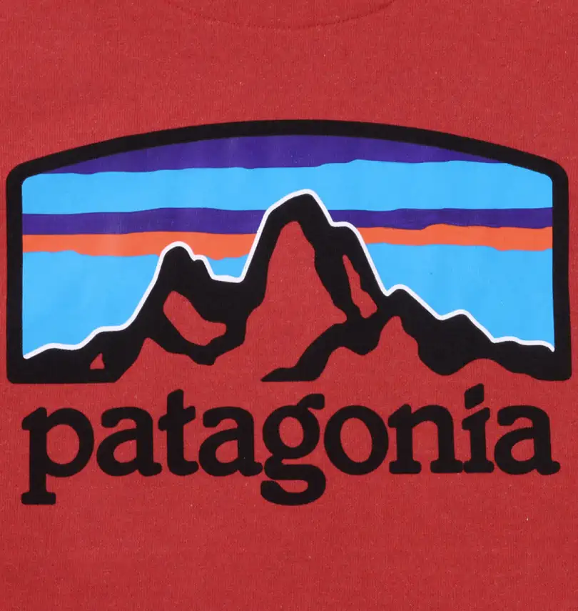 大きいサイズ プルパーカー | PATAGONIA (パタゴニア) | 大きいサイズ