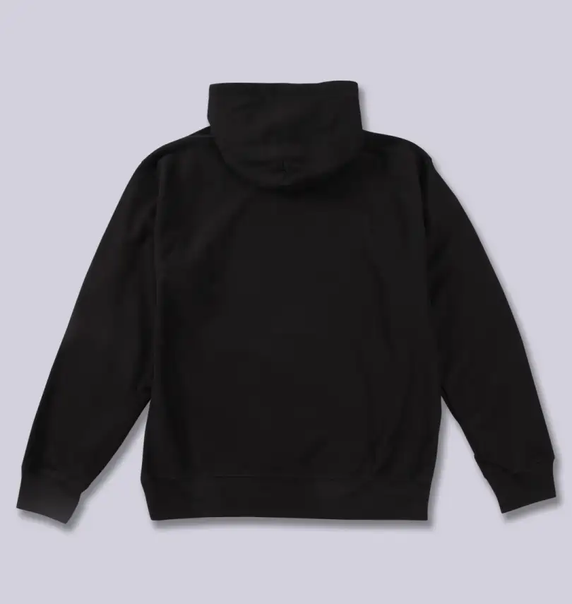 大きいサイズ プルパーカー | STUSSY (ステューシー) | 大きいサイズの