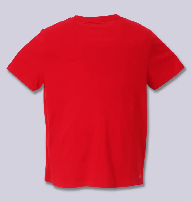 大きいサイズ 半袖Tシャツ | LACOSTE (ラコステ) | 大きいサイズの