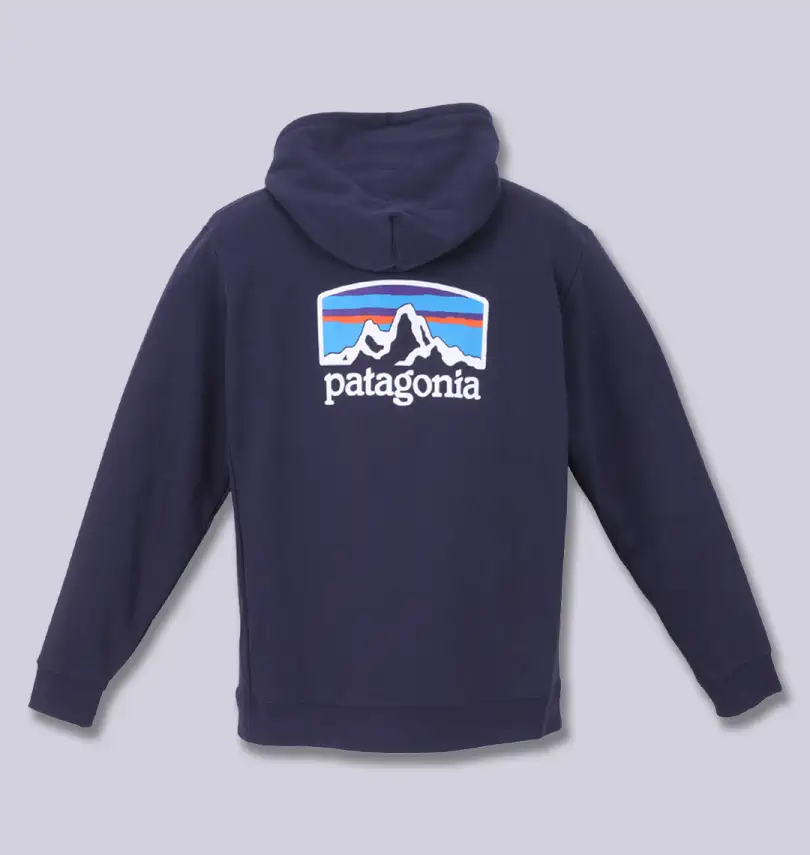 大きいサイズ プルパーカー | PATAGONIA (パタゴニア) | 大きいサイズ