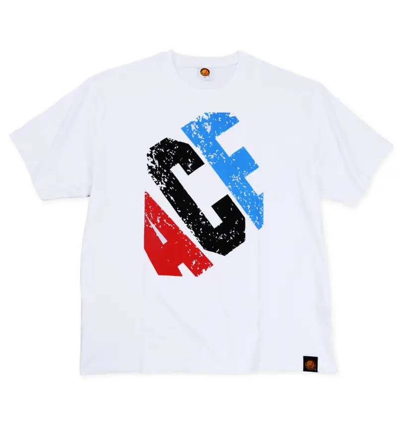 大きいサイズ 棚橋弘至「BIG ACE」半袖Tシャツ | 新日本プロレス (シン