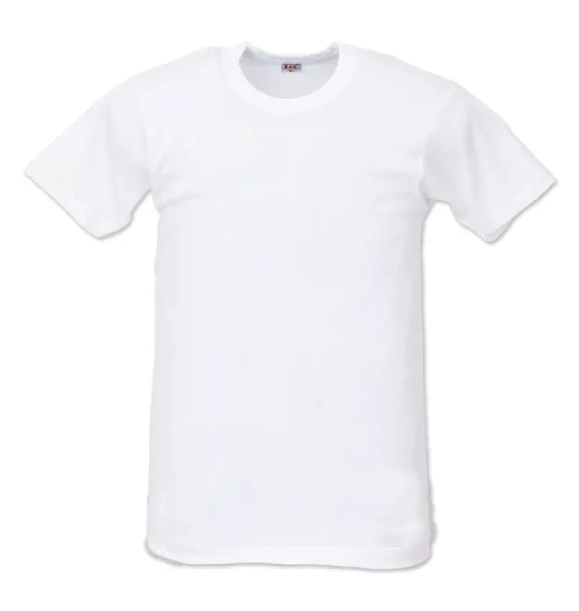 大きいサイズ 丸首半袖Tシャツ | B.V.D. (ビーブイディー) | 大きい