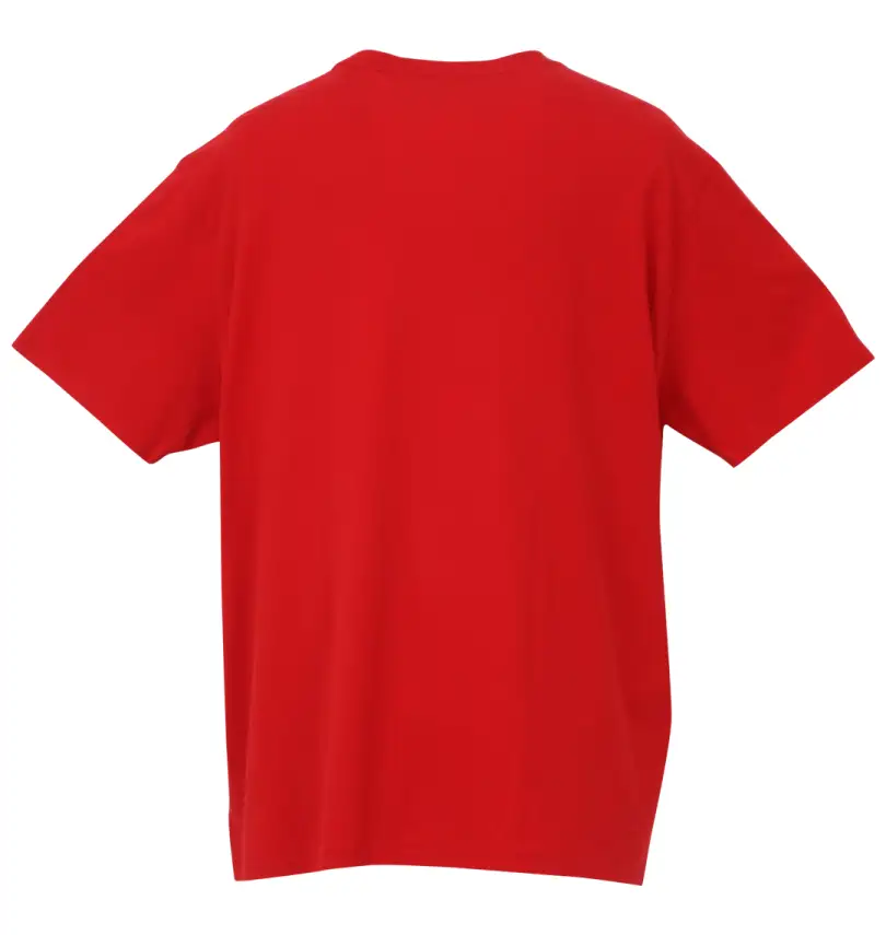 大きいサイズ 半袖Tシャツ | RALPH LAUREN (ラルフローレン) | 大きい