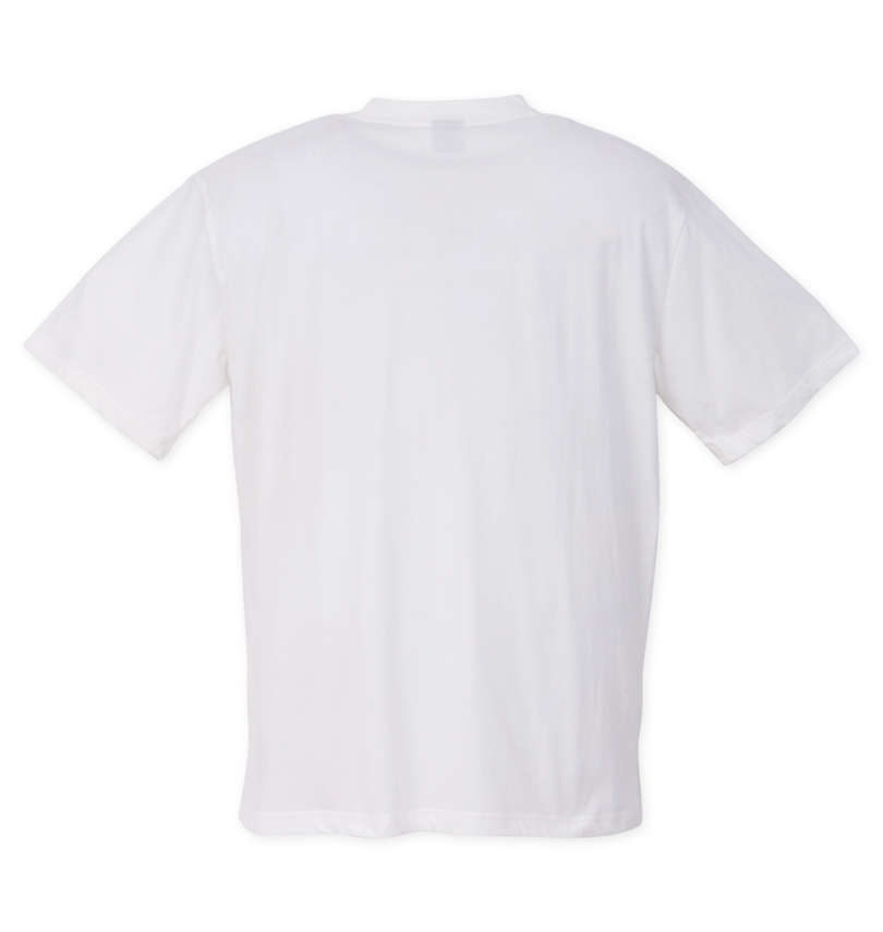 大きいサイズ メンズ LOGOS Park (ロゴスパーク) リサイクル天竺ボックスプリント半袖Tシャツ バックスタイル