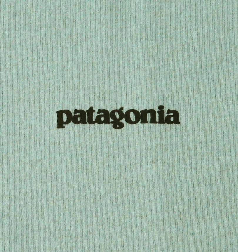 大きいサイズ メンズ PATAGONIA (パタゴニア) 半袖Tシャツ 左胸プリント