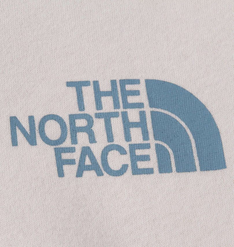 大きいサイズ メンズ THE NORTH FACE (ザ・ノース・フェイス) バックボックスロゴプルパーカー 胸プリント