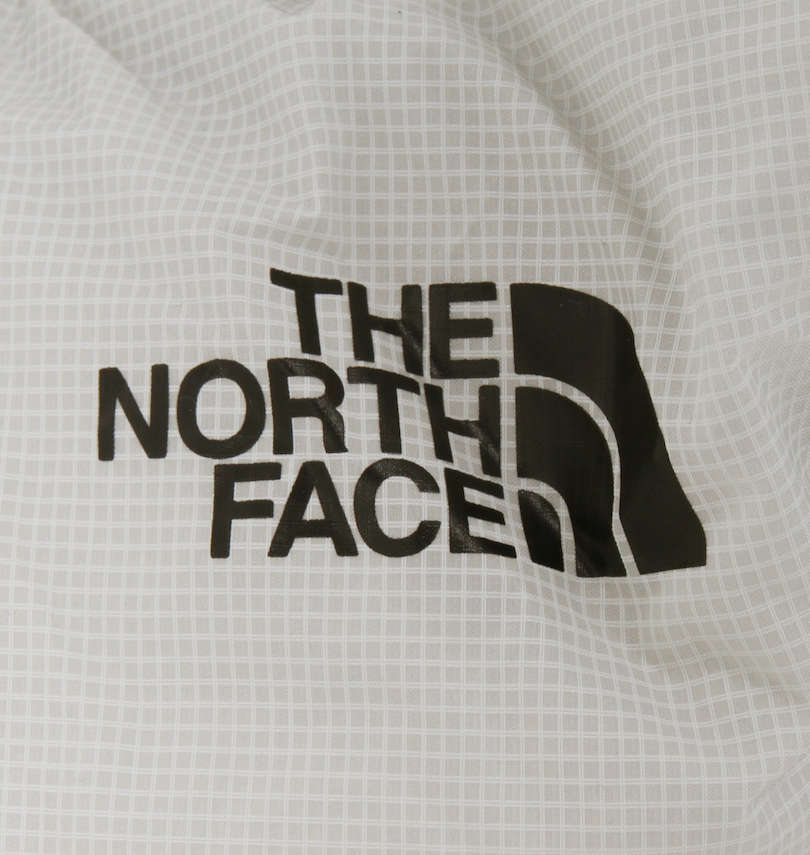 大きいサイズ メンズ THE NORTH FACE (ザ・ノース・フェイス) ダッフルバッグ プリント