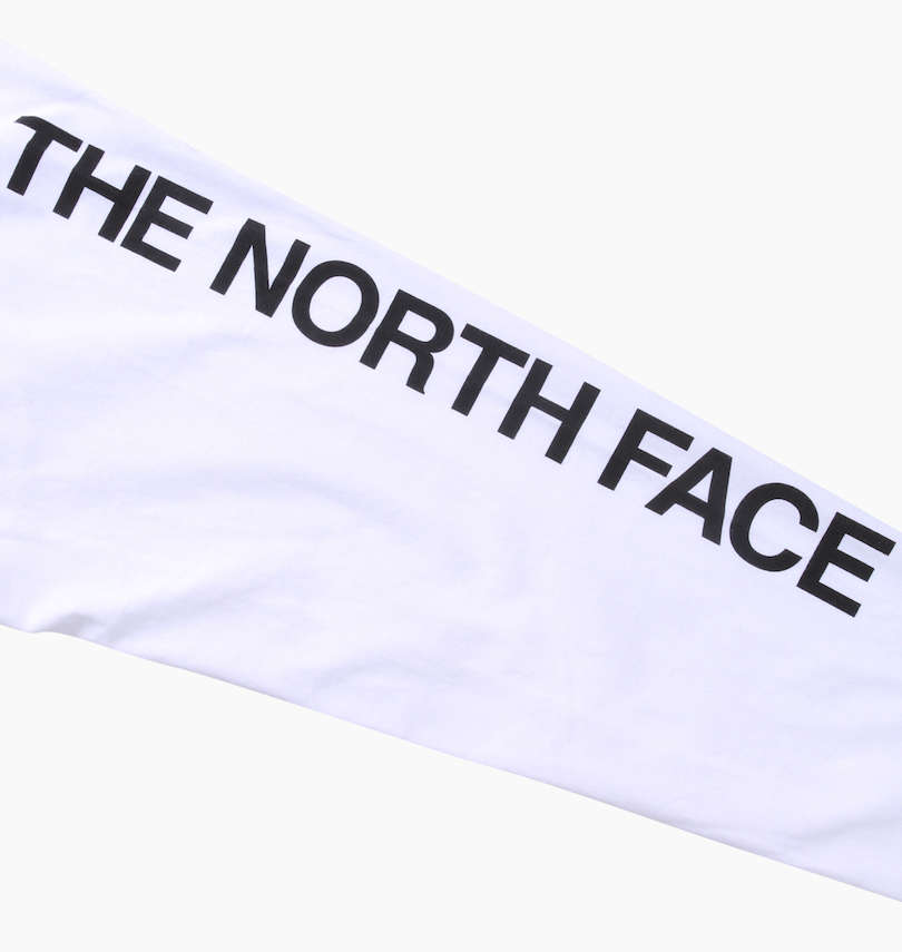 大きいサイズ メンズ THE NORTH FACE (ザ・ノース・フェイス) 長袖Tシャツ 袖プリント