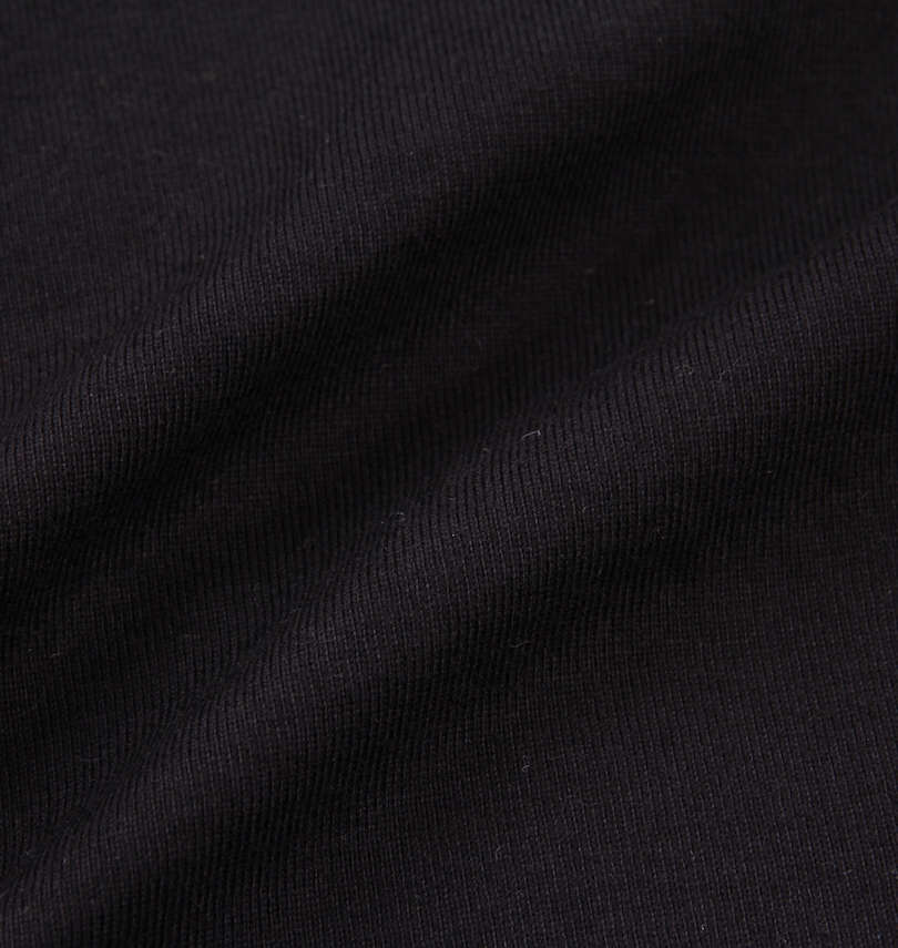 大きいサイズ メンズ 絡繰魂 (カラクリタマシイ) 桜鶴舞刺繍半袖Tシャツ 