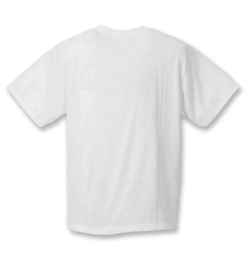 大きいサイズ メンズ kailua Bay (カイルアベイ) ナノテック加工パイル半袖Tシャツ バックスタイル
