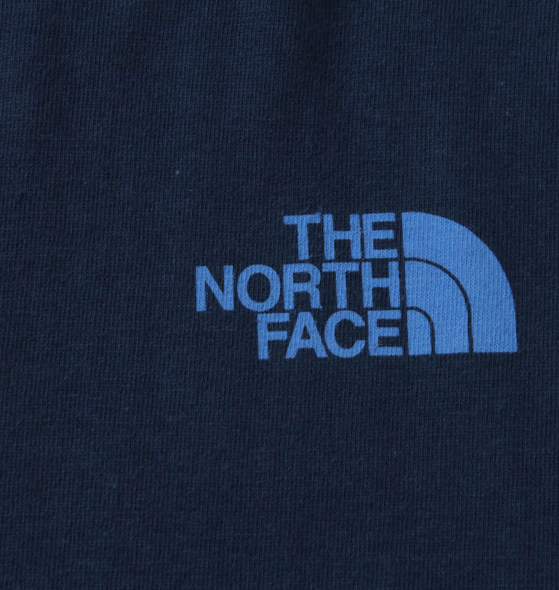 大きいサイズ メンズ THE NORTH FACE (ザ・ノース・フェイス) 半袖Tシャツ バックロゴプリント