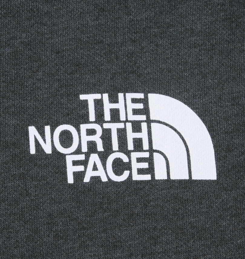 大きいサイズ メンズ THE NORTH FACE (ザ・ノース・フェイス) プルパーカー プリント