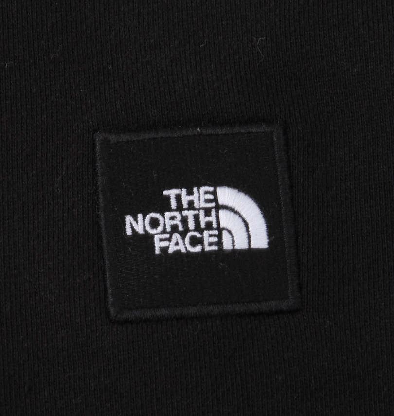 大きいサイズ メンズ THE NORTH FACE (ザ・ノース・フェイス) プルパーカー 胸ワッペン
