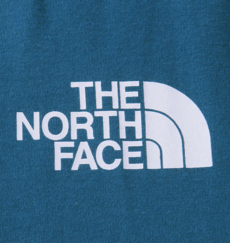 大きいサイズ メンズ THE NORTH FACE (ザ・ノース・フェイス) 半袖Tシャツ プリント拡大