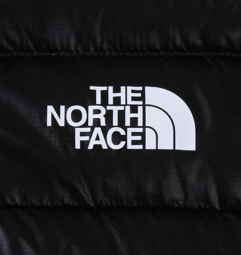 大きいサイズ メンズ THE NORTH FACE (ザ・ノース・フェイス) ダウンジャケット プリント