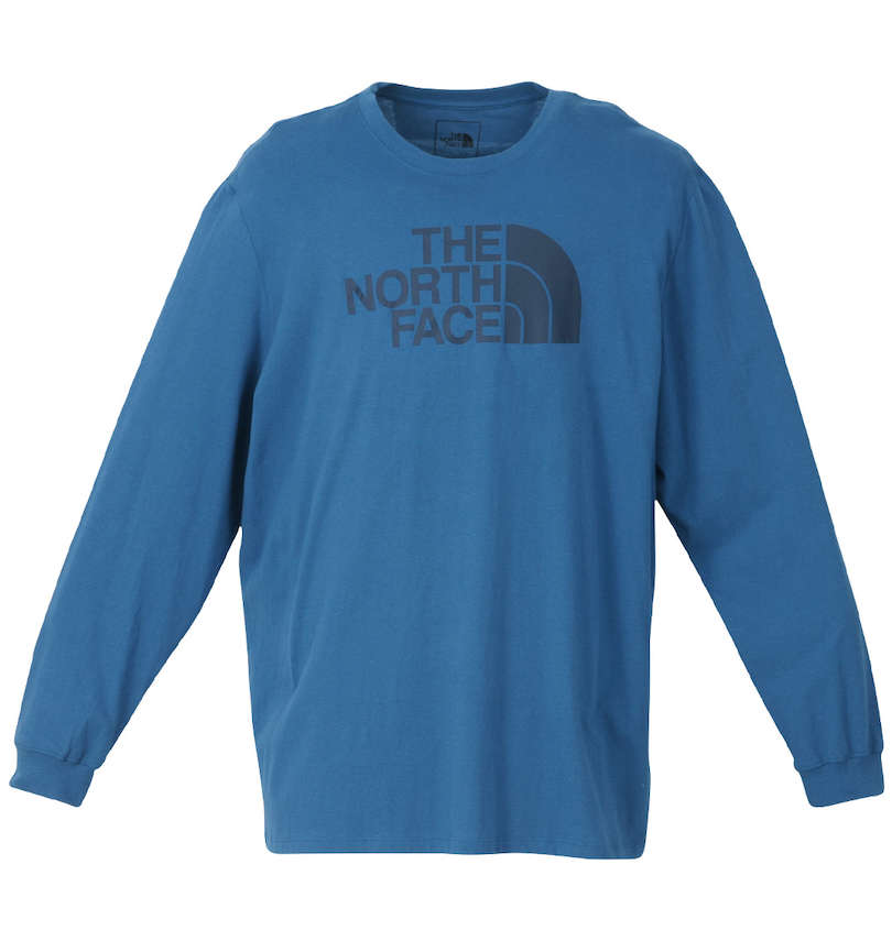 大きいサイズ メンズ THE NORTH FACE (ザ・ノース・フェイス) 長袖Tシャツ 