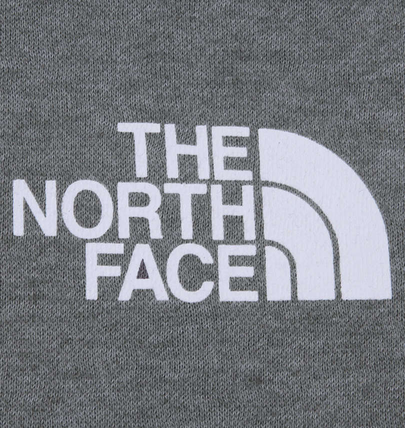大きいサイズ メンズ THE NORTH FACE (ザ・ノース・フェイス) プルパーカー フロントプリント