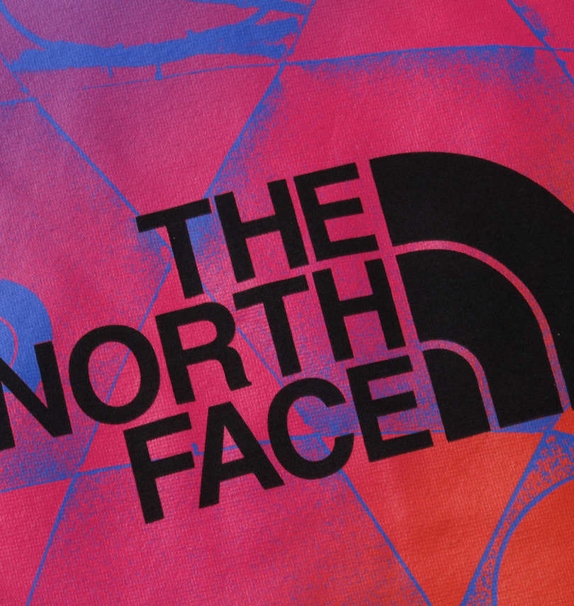 大きいサイズ メンズ THE NORTH FACE (ザ・ノース・フェイス) プルパーカー バックプリント拡大