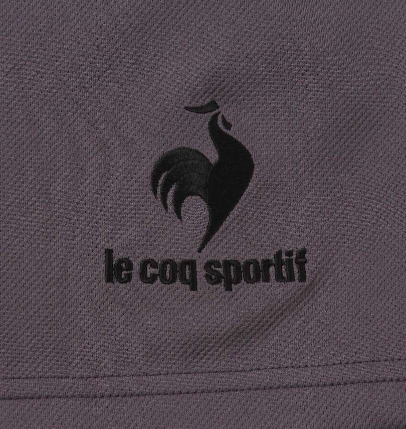 大きいサイズ メンズ LE COQ SPORTIF (ルコックスポルティフ) エコペットハーフパンツ 裾刺繍