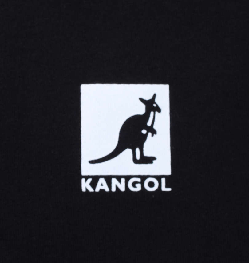 大きいサイズ メンズ KANGOL (カンゴール) ペイズリープリント半袖Tシャツ 胸プリント