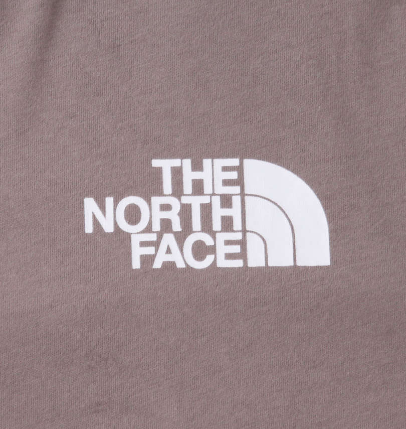 大きいサイズ メンズ THE NORTH FACE (ザ・ノース・フェイス) 長袖Tシャツ フロントプリント