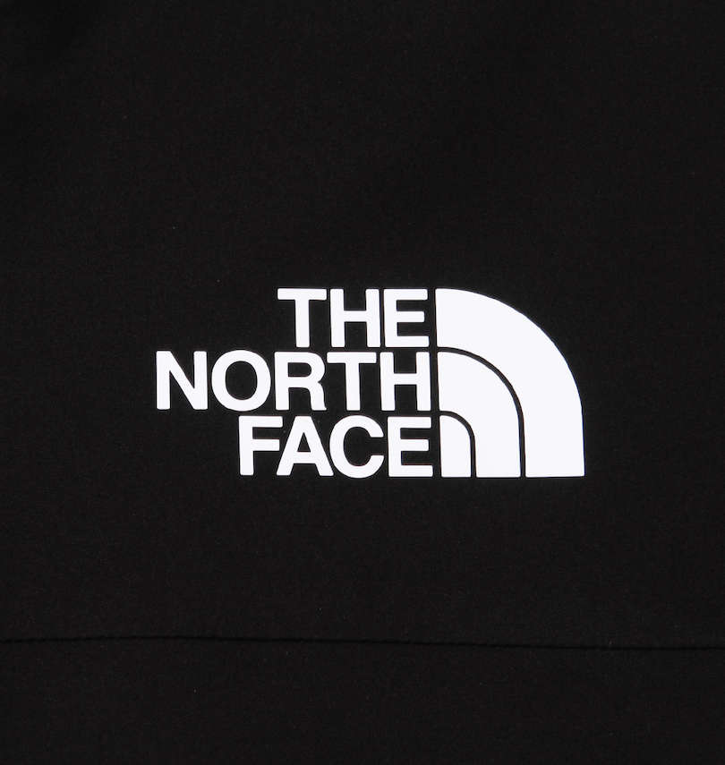 大きいサイズ メンズ THE NORTH FACE (ザ・ノース・フェイス) アクティブジャケット プリント