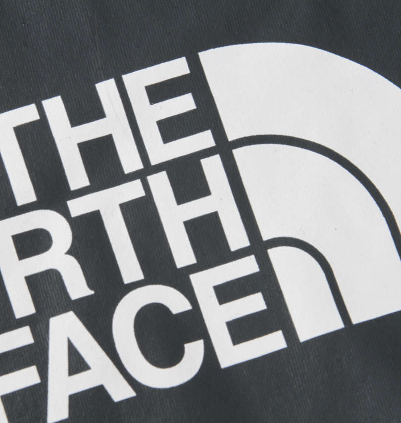 大きいサイズ メンズ THE NORTH FACE (ザ・ノース・フェイス) 半袖Tシャツ バックプリント拡大