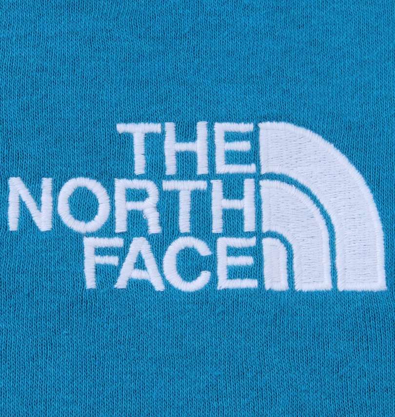 大きいサイズ メンズ THE NORTH FACE (ザ・ノース・フェイス) プルパーカー 胸刺繍拡大