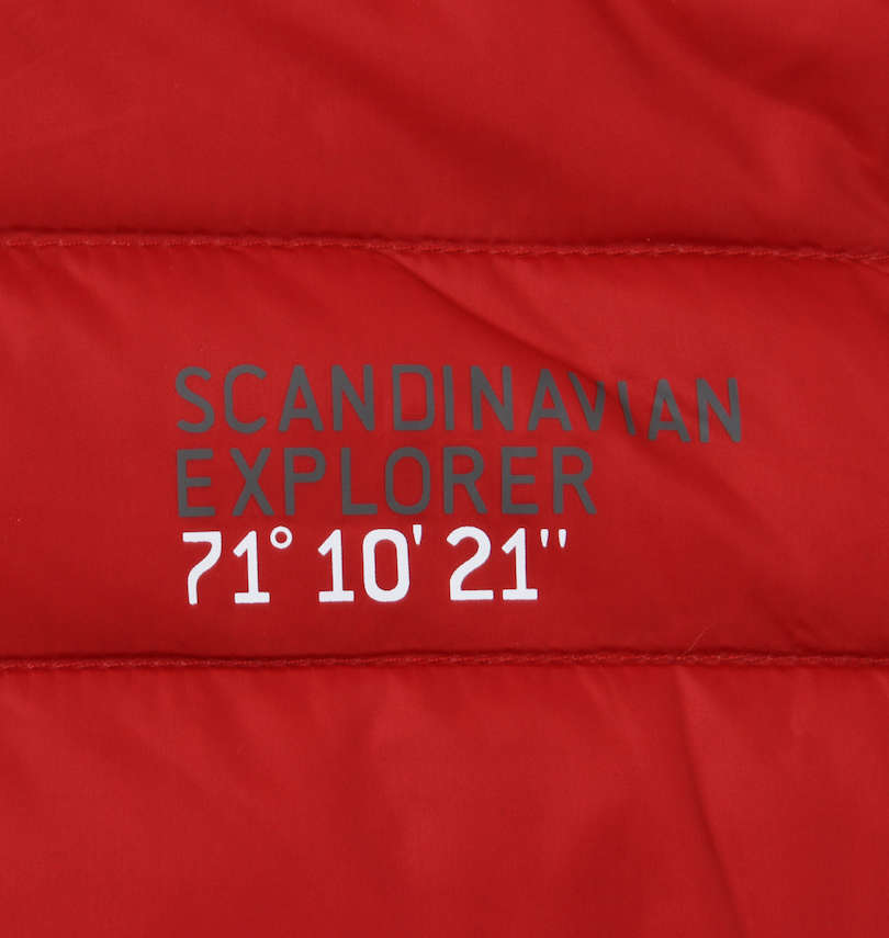 大きいサイズ メンズ SCANDINAVIAN EXPLORER (スカンジナヴィアン エクスプローラー) パーカーダウンジャケット プリント