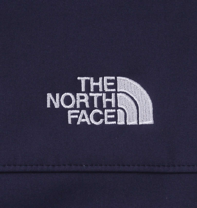 大きいサイズ メンズ THE NORTH FACE (ザ・ノース・フェイス) ジャケット バック刺繍