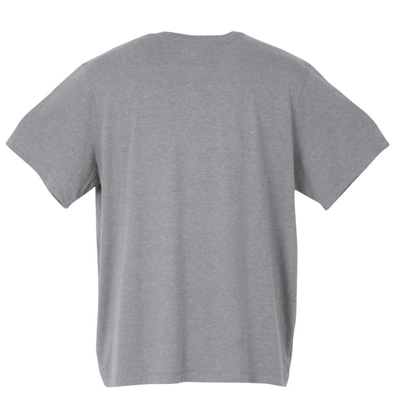 大きいサイズ メンズ JORDAN (エアジョーダン) 半袖Tシャツ バックスタイル
