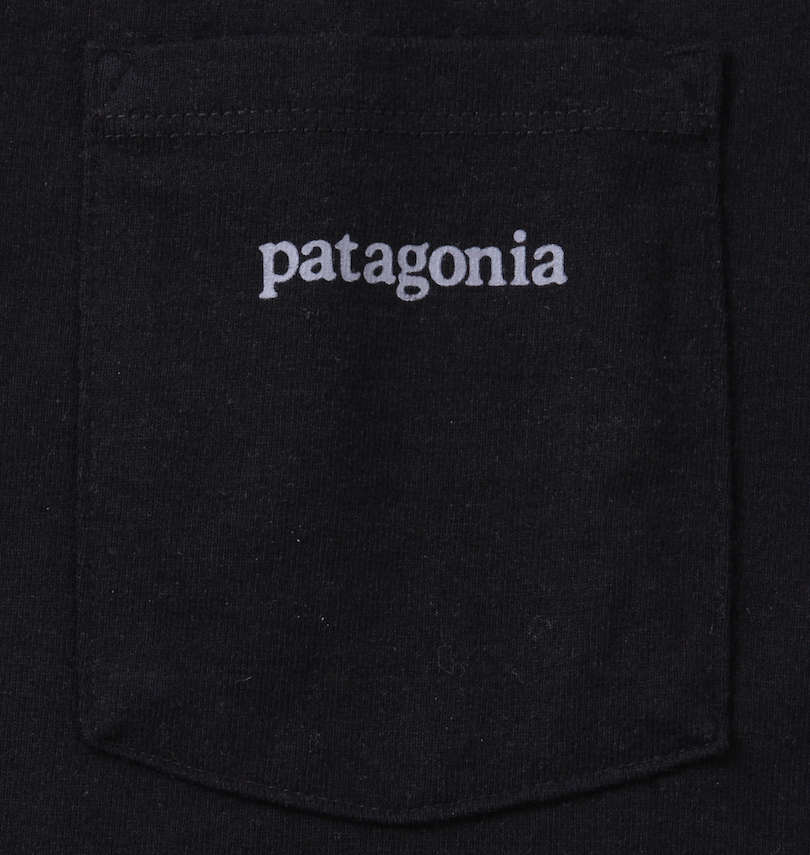 大きいサイズ メンズ PATAGONIA (パタゴニア) 半袖Tシャツ ポケット付き