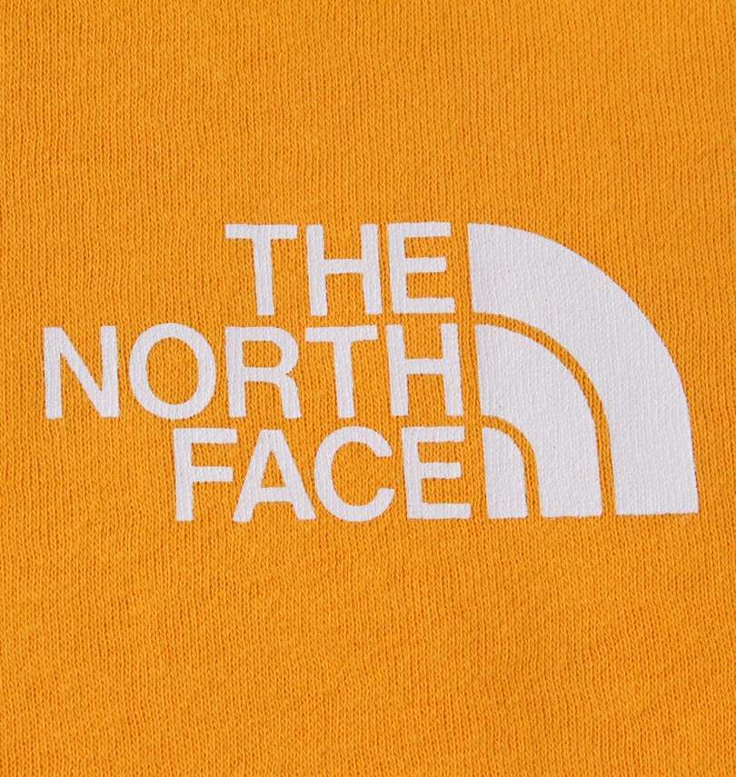 大きいサイズ メンズ THE NORTH FACE (ザ・ノース・フェイス) プルパーカー 胸プリント