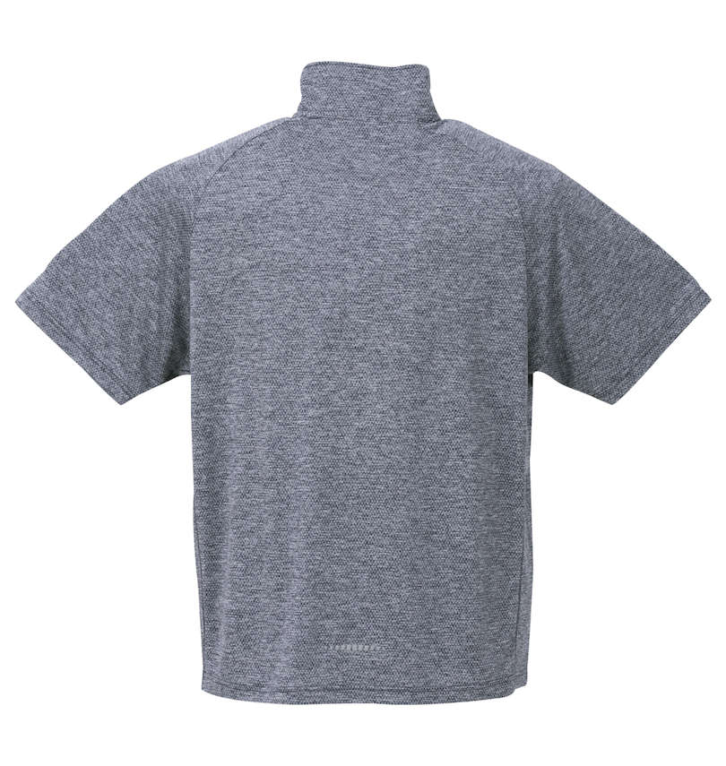 大きいサイズ メンズ Phiten (ファイテン) DRYメッシュ杢ハーフジップ半袖シャツ バックスタイル